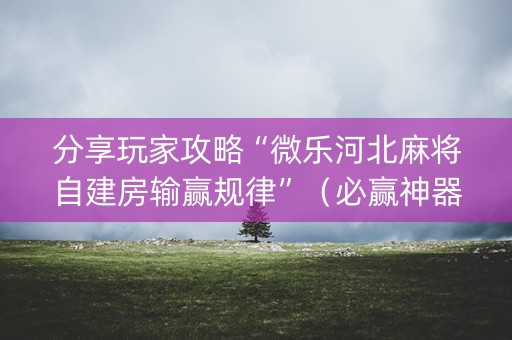分享玩家攻略“微乐河北麻将自建房输赢规律”（必赢神器辅助器)