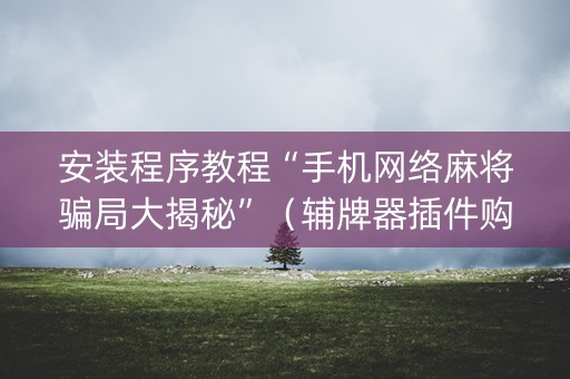 安装程序教程“手机网络麻将骗局大揭秘”（辅牌器插件购买)