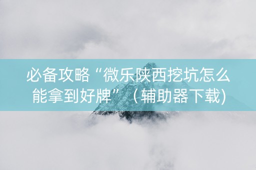 必备攻略“微乐陕西挖坑怎么能拿到好牌”（辅助器下载)