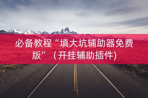 必备教程“填大坑辅助器免费版”（开挂辅助插件)