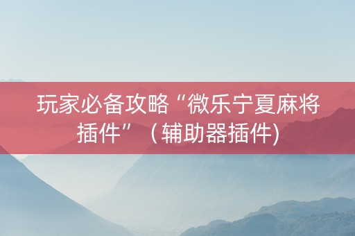 玩家必备攻略“微乐宁夏麻将插件”（辅助器插件)