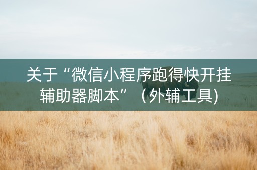 关于“微信小程序跑得快开挂辅助器脚本”（外辅工具)