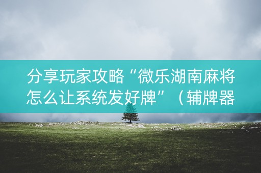 分享玩家攻略“微乐湖南麻将怎么让系统发好牌”（辅牌器插件购买)