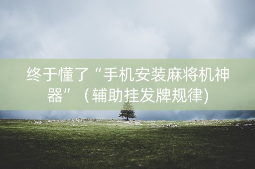 终于懂了“手机安装麻将机神器”（辅助挂发牌规律)