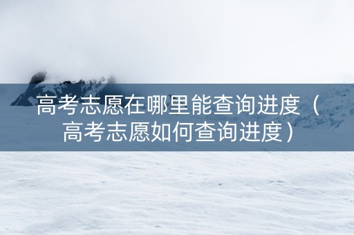 高考志愿在哪里能查询进度（高考志愿如何查询进度）