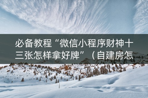 必备教程“微信小程序财神十三张怎样拿好牌”（自建房怎么拿好牌)