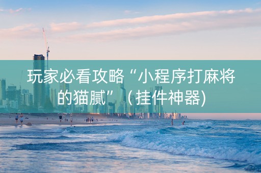 玩家必看攻略“小程序打麻将的猫腻”（挂件神器)