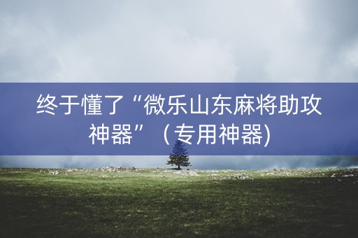 终于懂了“微乐山东麻将助攻神器”（专用神器)
