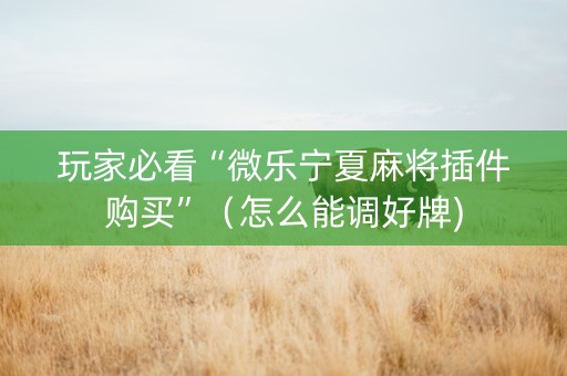 玩家必看“微乐宁夏麻将插件购买”（怎么能调好牌)