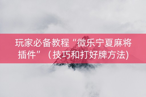 玩家必备教程“微乐宁夏麻将插件”（技巧和打好牌方法)