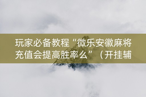 玩家必备教程“微乐安徽麻将充值会提高胜率么”（开挂辅助器脚本)