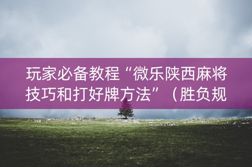 玩家必备教程“微乐陕西麻将技巧和打好牌方法”（胜负规律拿好牌)