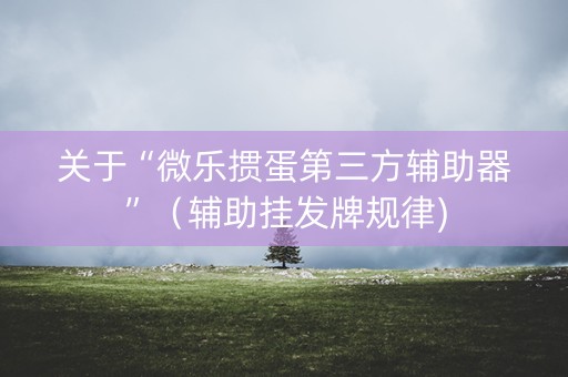 关于“微乐掼蛋第三方辅助器”（辅助挂发牌规律)