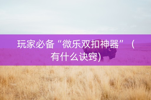 玩家必备“微乐双扣神器”（有什么诀窍)