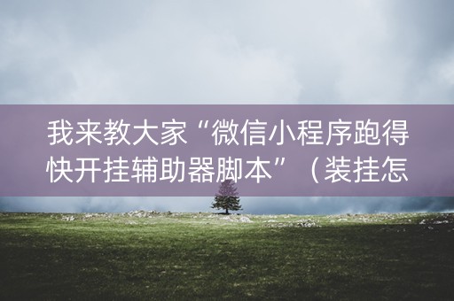 我来教大家“微信小程序跑得快开挂辅助器脚本”（装挂怎么安装)