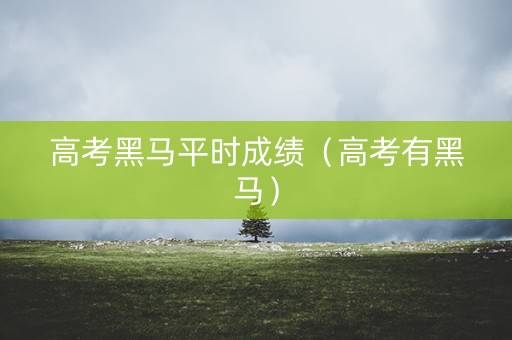 高考黑马平时成绩（高考有黑马）