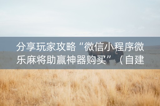 分享玩家攻略“微信小程序微乐麻将助赢神器购买”（自建房怎么拿好牌)