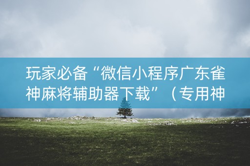 玩家必备“微信小程序广东雀神麻将辅助器下载”（专用神器下载)