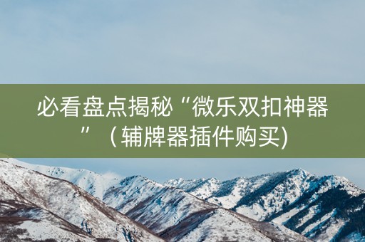 必看盘点揭秘“微乐双扣神器”（辅牌器插件购买)