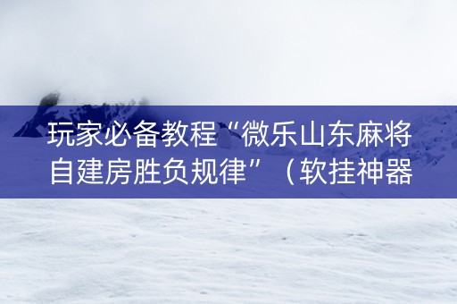 玩家必备教程“微乐山东麻将自建房胜负规律”（软挂神器)