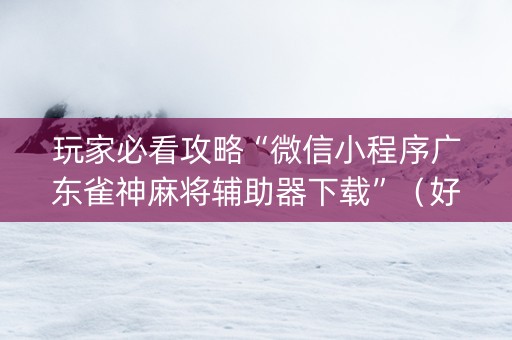 玩家必看攻略“微信小程序广东雀神麻将辅助器下载”（好友房怎么才能赢)