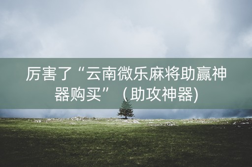 厉害了“云南微乐麻将助赢神器购买”（助攻神器)