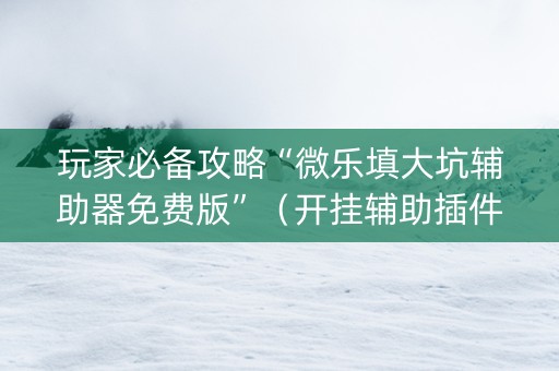 玩家必备攻略“微乐填大坑辅助器免费版”（开挂辅助插件)