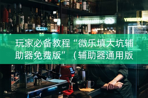 玩家必备教程“微乐填大坑辅助器免费版”（辅助器通用版)