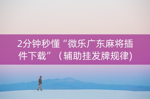 2分钟秒懂“微乐广东麻将插件下载”（辅助挂发牌规律)