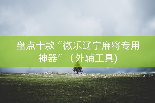 盘点十款“微乐辽宁麻将专用神器”（外辅工具)