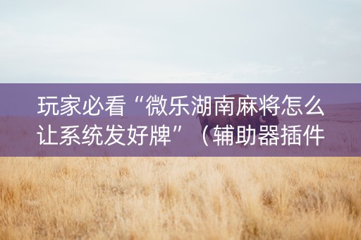 玩家必看“微乐湖南麻将怎么让系统发好牌”（辅助器插件)