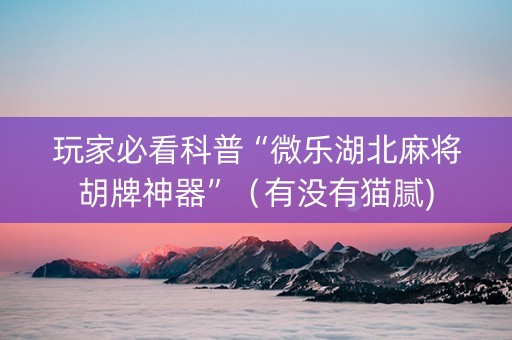 玩家必看科普“微乐湖北麻将胡牌神器”（有没有猫腻)