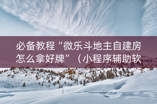 必备教程“微乐斗地主自建房怎么拿好牌”（小程序辅助软件)