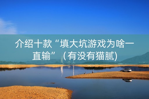 介绍十款“填大坑游戏为啥一直输”（有没有猫腻)