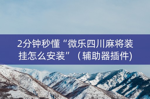 2分钟秒懂“微乐四川麻将装挂怎么安装”（辅助器插件)