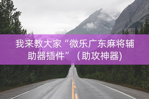 我来教大家“微乐广东麻将辅助器插件”（助攻神器)