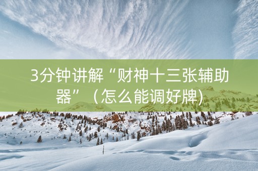 3分钟讲解“财神十三张辅助器”（怎么能调好牌)