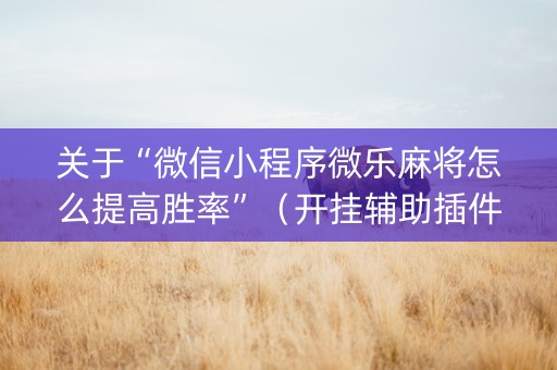 关于“微信小程序微乐麻将怎么提高胜率”（开挂辅助插件)
