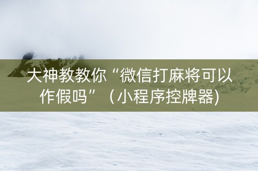 大神教教你“微信打麻将可以作假吗”（小程序控牌器)
