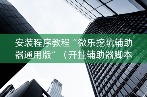 安装程序教程“微乐挖坑辅助器通用版”（开挂辅助器脚本)