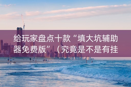 给玩家盘点十款“填大坑辅助器免费版”（究竟是不是有挂)