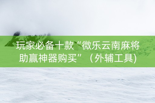 玩家必备十款“微乐云南麻将助赢神器购买”（外辅工具)