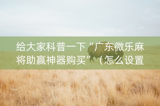 给大家科普一下“广东微乐麻将助赢神器购买”（怎么设置能有好牌)