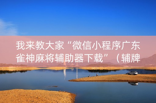 我来教大家“微信小程序广东雀神麻将辅助器下载”（辅牌器插件购买)