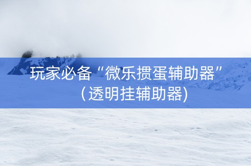 玩家必备“微乐掼蛋辅助器”（透明挂辅助器)