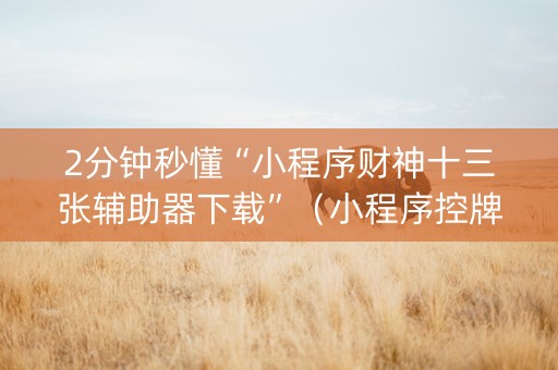 2分钟秒懂“小程序财神十三张辅助器下载”（小程序控牌器)