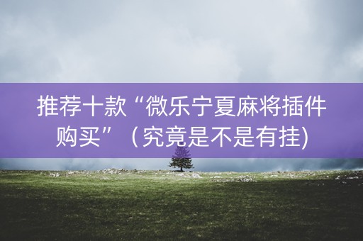 推荐十款“微乐宁夏麻将插件购买”（究竟是不是有挂)