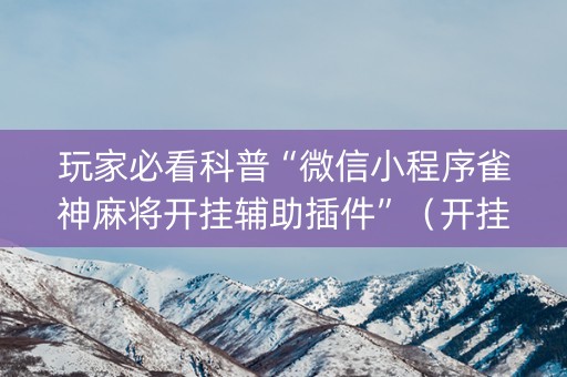 玩家必看科普“微信小程序雀神麻将开挂辅助插件”（开挂辅助器脚本)