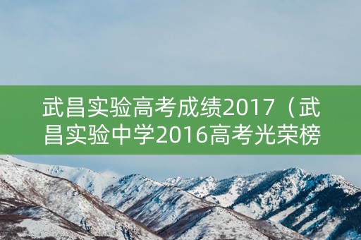 武昌实验高考成绩2017（武昌实验中学2016高考光荣榜）