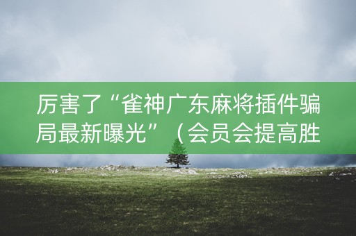 厉害了“雀神广东麻将插件骗局最新曝光”（会员会提高胜率吗)